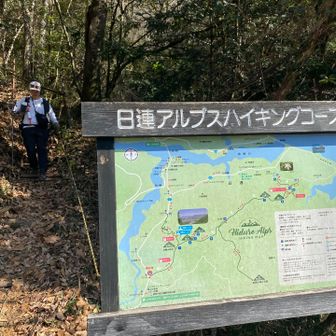 やっと車道まできました