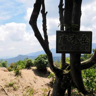 唐木岳山頂
