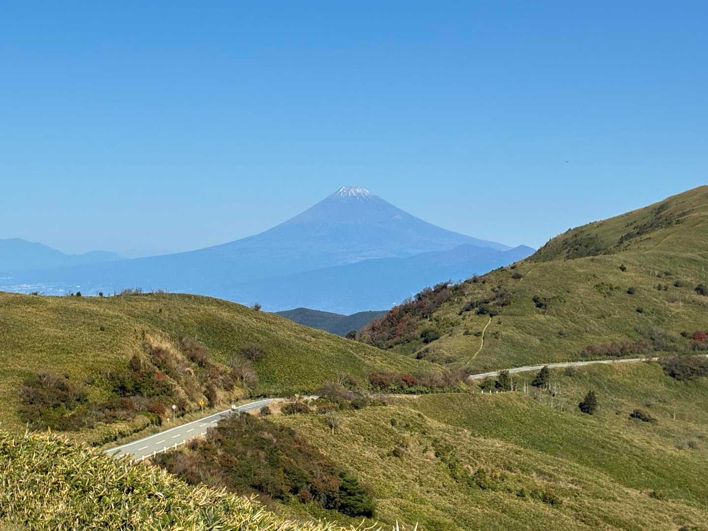 戸田峠-小達磨山-達磨山-古稀山-伽藍山 往復コースの写真