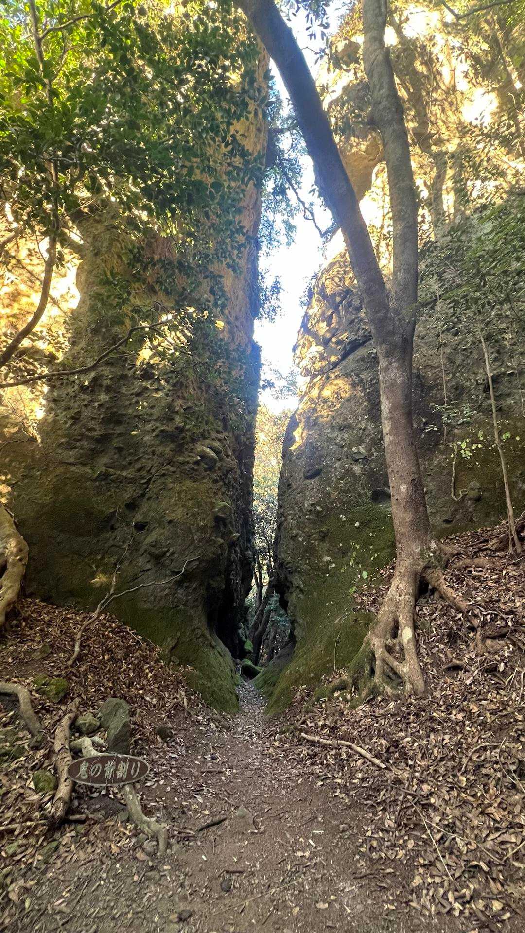 両子寺-両子山-走水観音 周回コースの写真