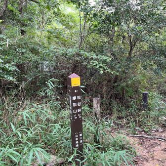 この先を右に逸れてバラックハウスの横を通って、杣谷の本流に入渓可能です。
　今回初めてだったので、入渓点確認してから戻りました。