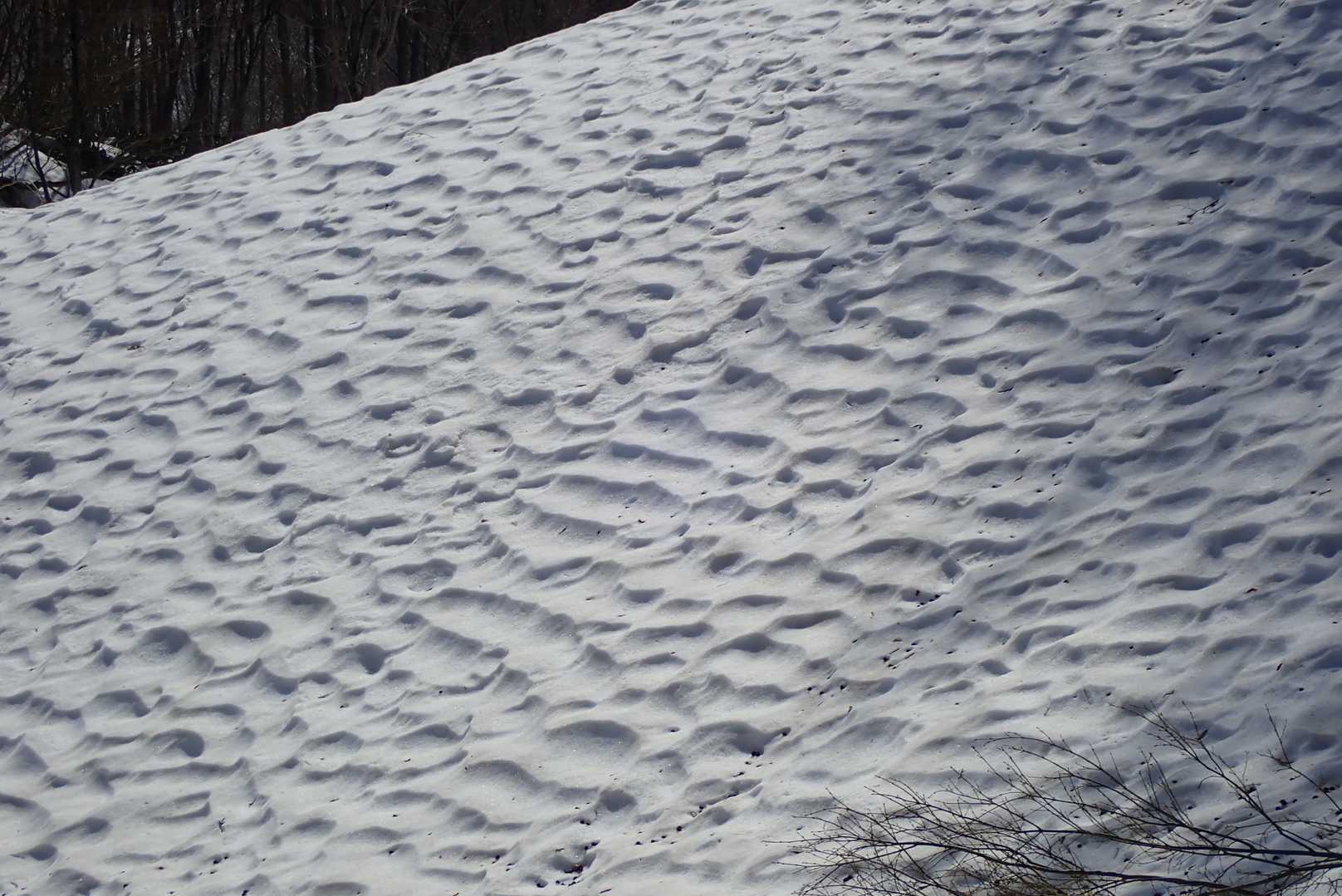 これも面白い、どうしてこんな雪の波ができるんだろ。