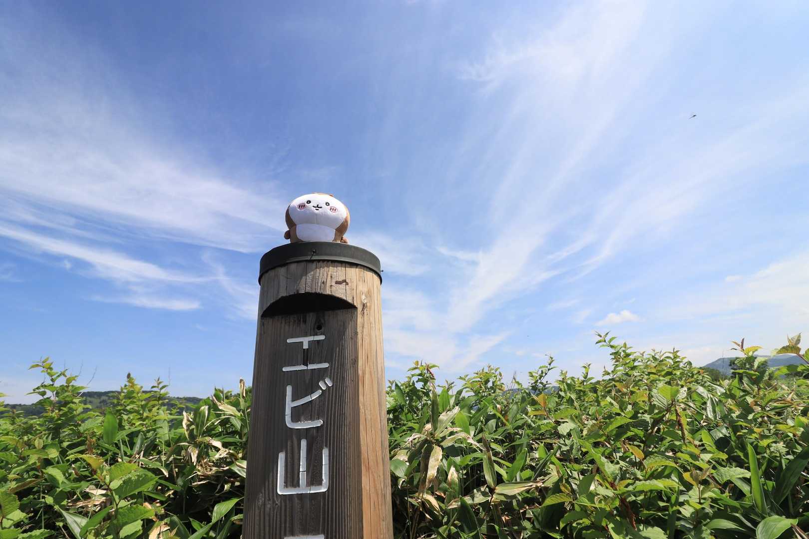 かぶとエビ山🤣