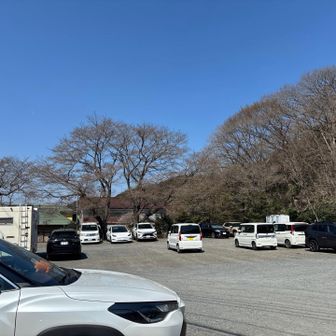 まだ結構車あります