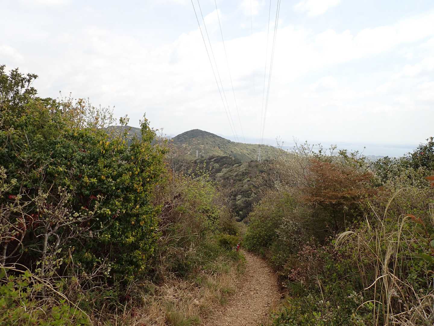 座談山鉄塔横から神石山を見る。
送電線との間に富士山が見えることがあるが、春以降はなかなか見られない。
再度確認しておくと、この山は湖西連峰には属さない。