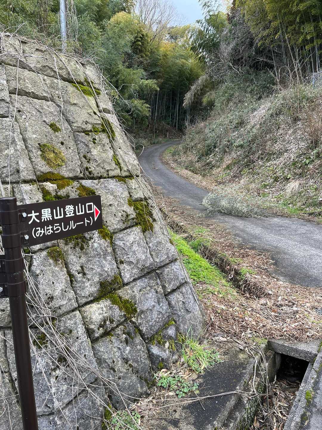 道路脇に登山口