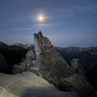 ホワイトベアー