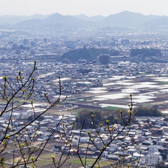 HC85系「ひだ」
ハイブリッド気動車です
基本編成 4両
＋高山側に 2両 増結