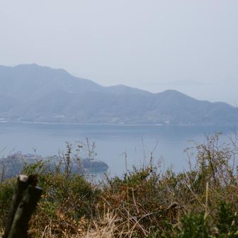 景色を楽しみながらランチタイム