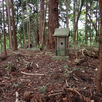 祠があるのみ