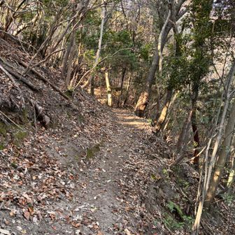 ほんとに歩きやすいな😃