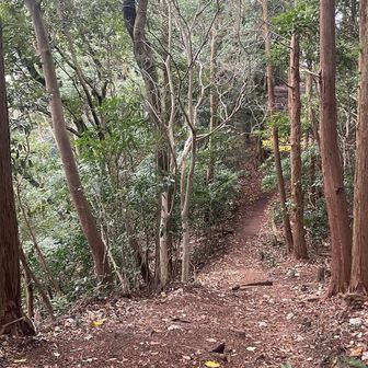 いつ来ても歩きやすく整備された登山道