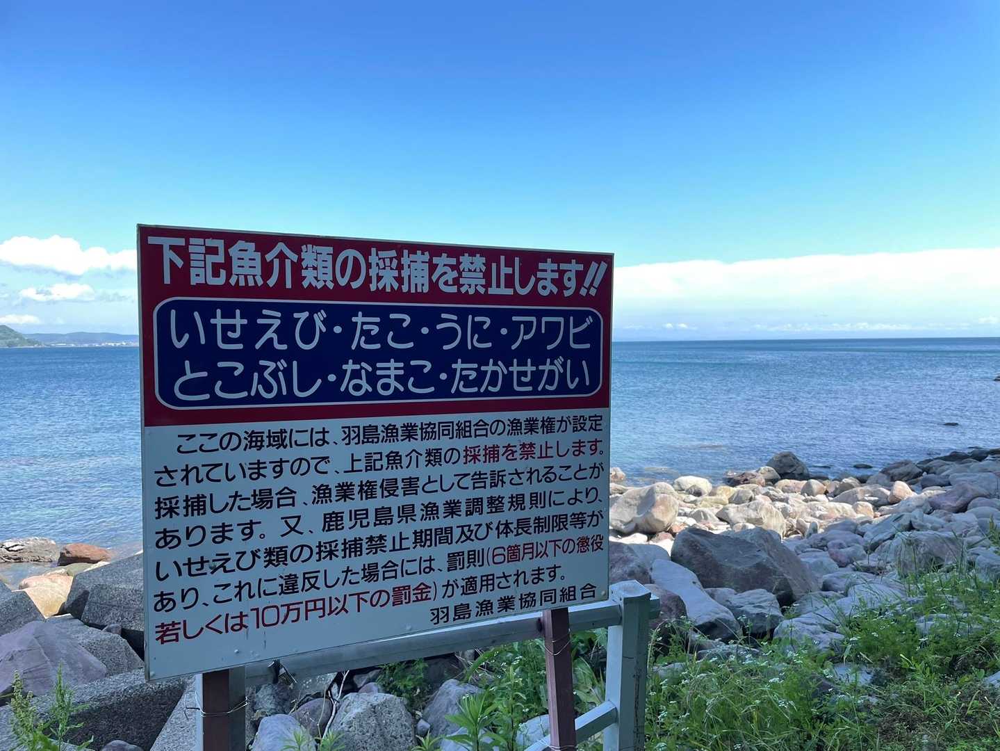 密漁はダメ
つまりここに書かれているものが採れるってことね。