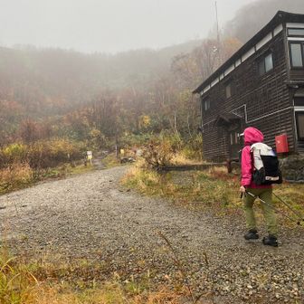 温泉のすぐ隣りが登山口です