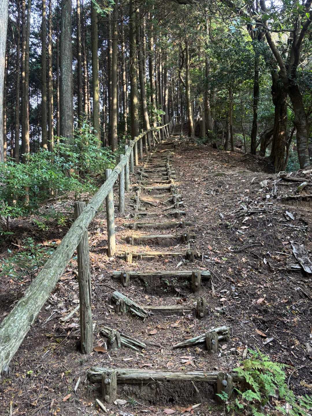 鈴鹿峠-三子山-四方草山 往復コースの写真