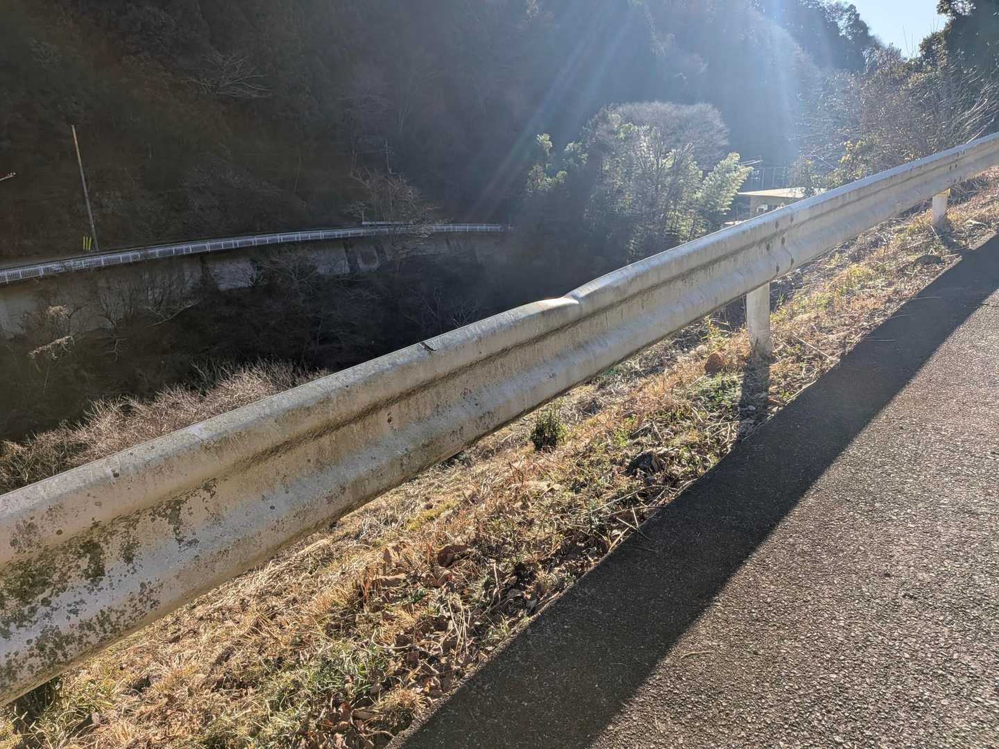 向こう側の道路は日陰だし車通るし
こちらは日が当たって暖かいし、車も通らないし、近い👍