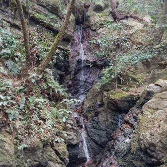 荒沢の滝✨🎶
とても静かな滝ですね👀
このあとはゲートまで山道でしたが…舗装路をひたすら歩き😅
無心で歩いてたら駐車場通り過ぎちゃってるし😂
全くなにしてんだか〜🤣
タイムオーバーだが…暫し考えてマッハで鳳来寺山にGOしました💨🤣

