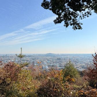 夜景がきれいらしい🤩
