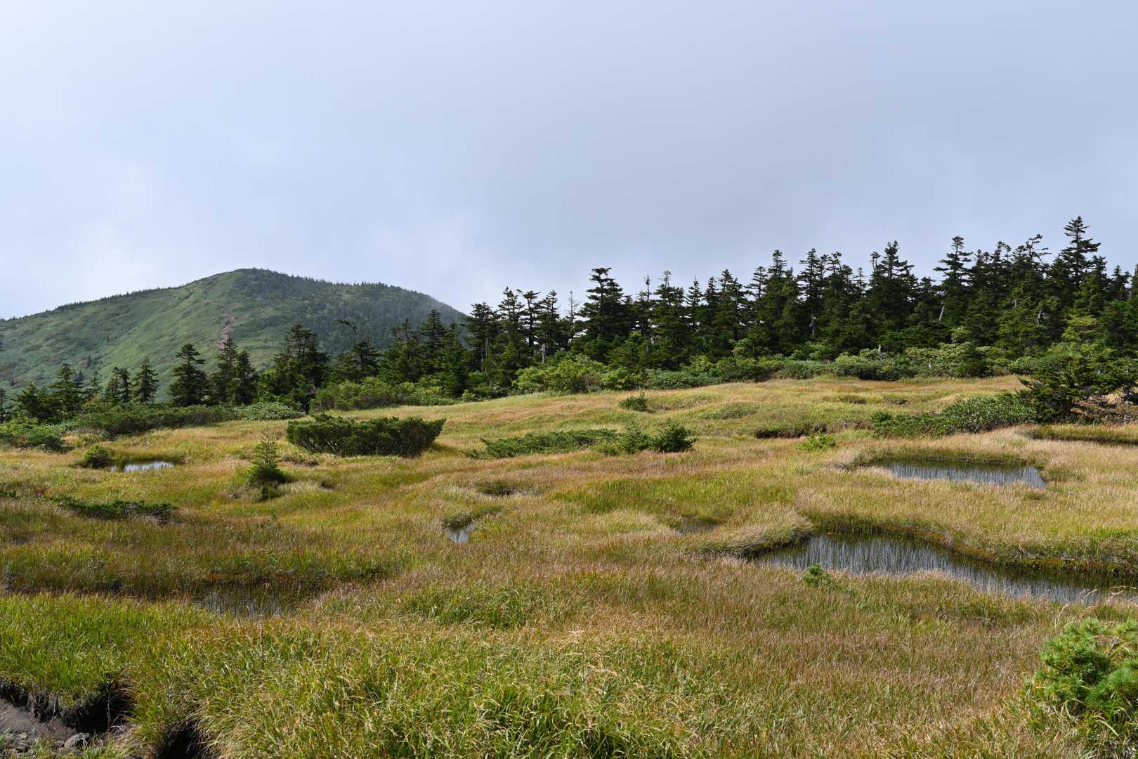 ロープウェイ終点-西吾妻山 周回コースの写真