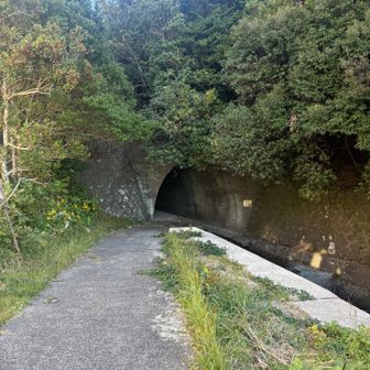 このトンネル入る