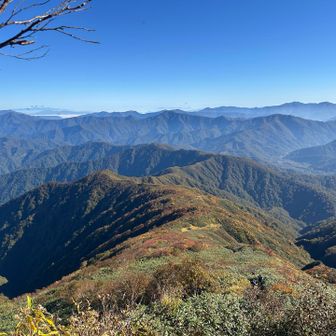 紅葉見頃はもう少し先かな