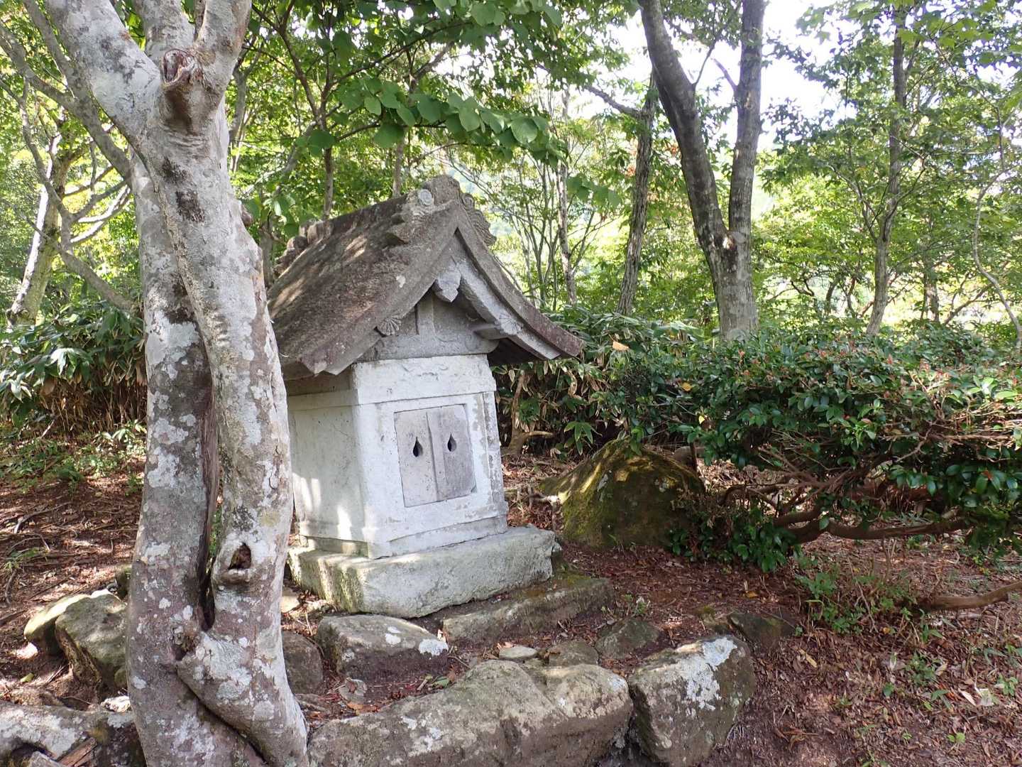 五号目に着いた

暑いので
ここで引き返そうと思っていたが
休憩してると欲が出た

行けるところまで行こう