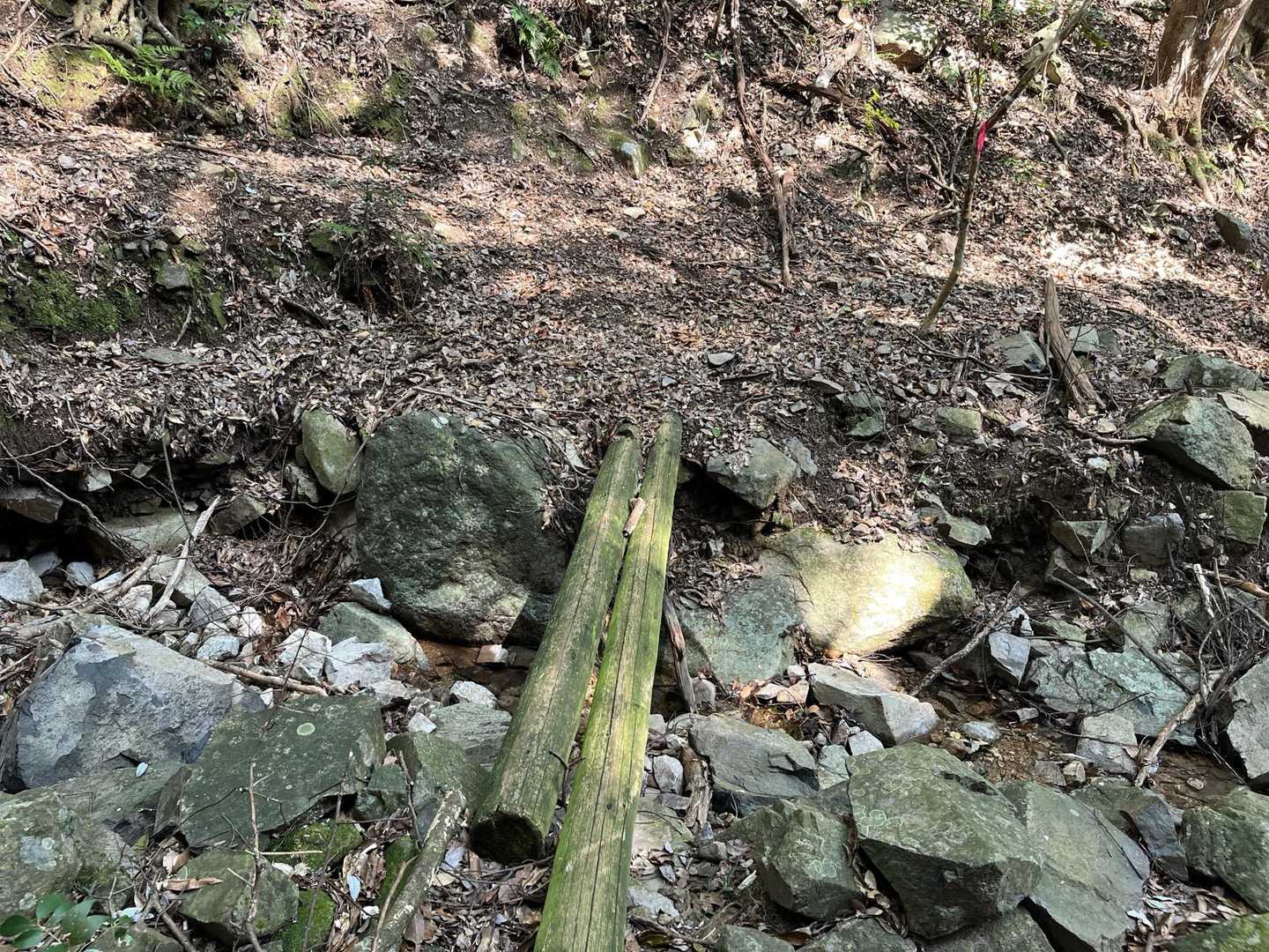 丸木橋で左岸へ。