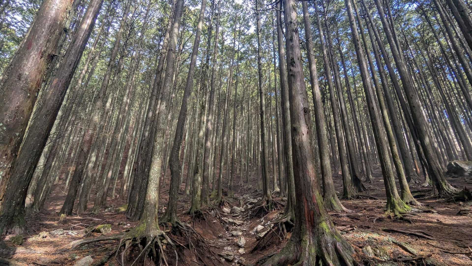 だんだん雲が抜け、頭上が晴れてきました