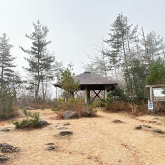 東屋が出て来た