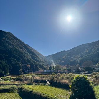 ホンマにええ天気☀️😁👍🏻