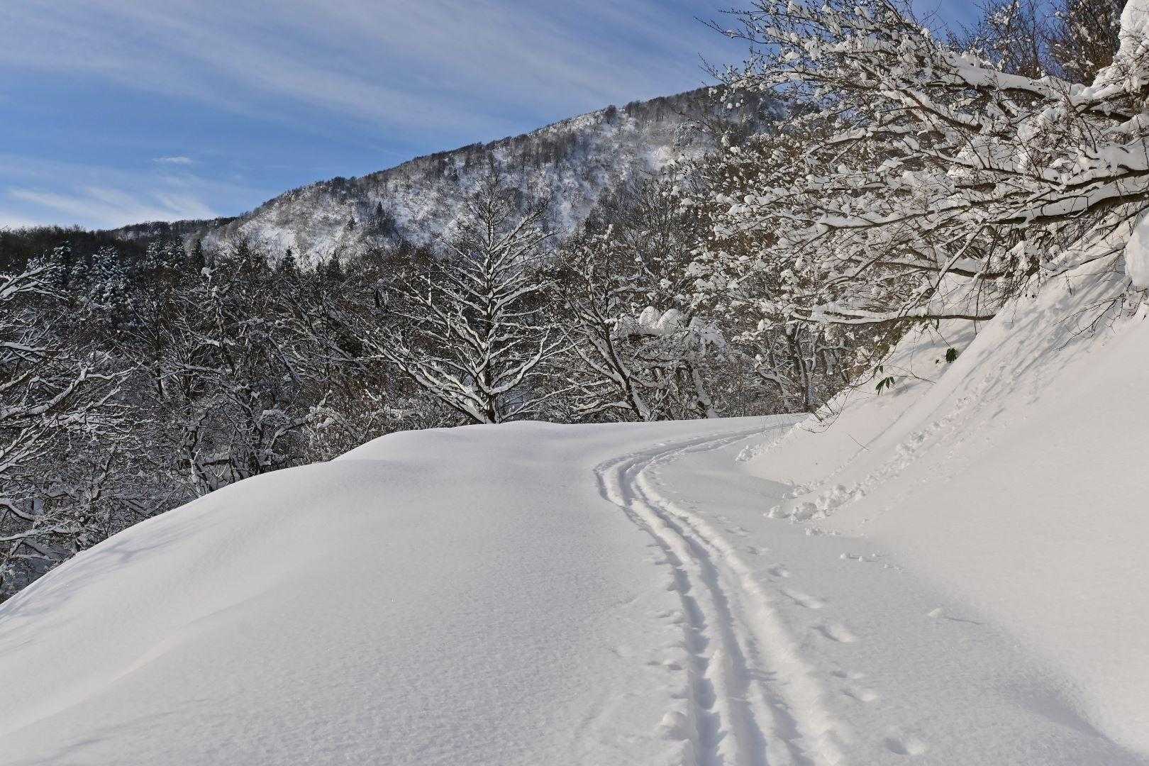地味〜に林道進むのみ