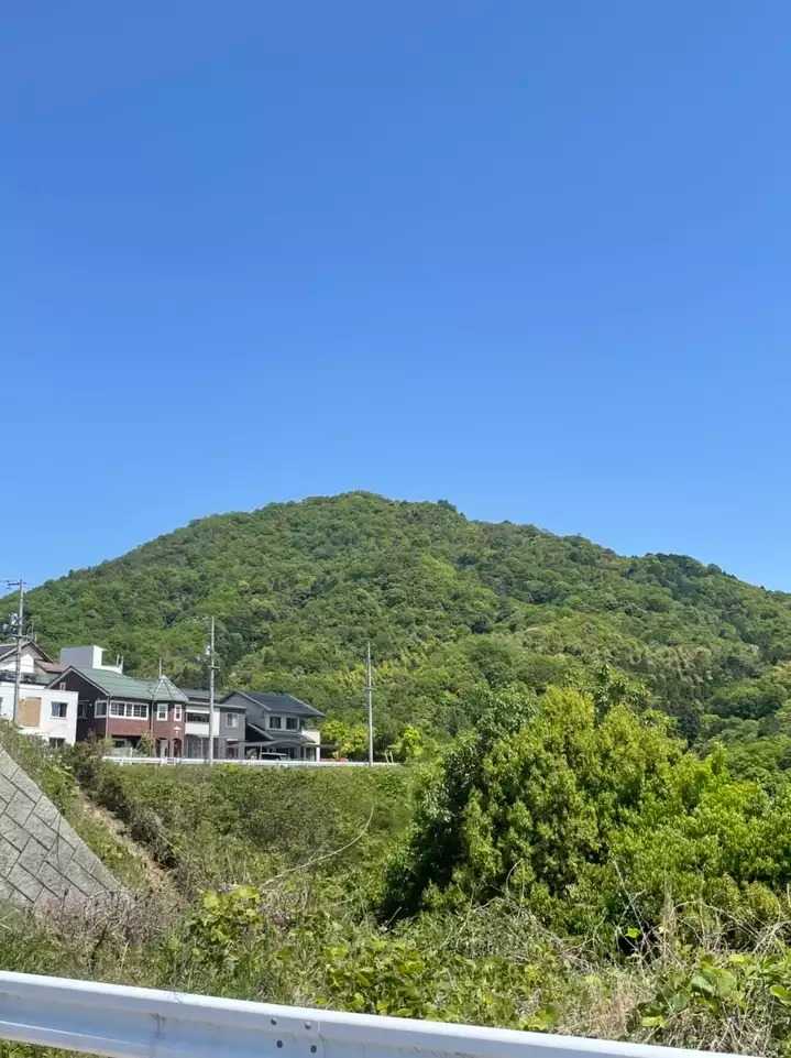 武田山の写真