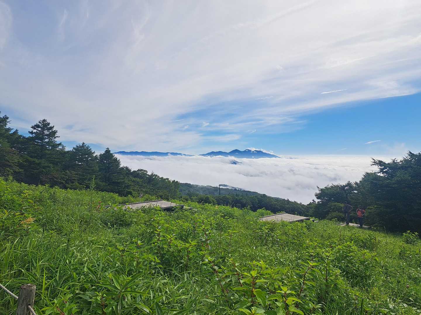雲に浮かぶお山⛰️
鶏頂山…？違うか…？