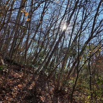 静かな山行でした。
ここまでは‥