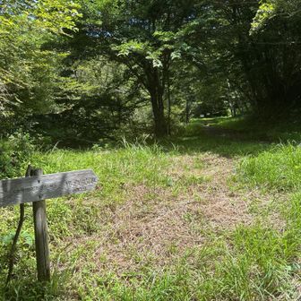 杓子山山頂まで30分。そんなに掛からないかと思ったけど30分くらい掛かった。