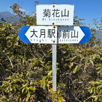 菊花山頂に到着！