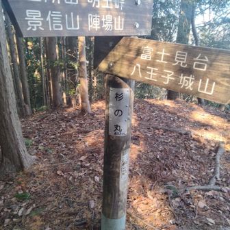 12座目　杉の丸
予定より遅れ始めた…

でも今日からヘッデン2個にしたんだよ☺️
檜洞丸でお会いした山友のまさちゃんさんからのアドバイス頂いたので、100均で購入してみたよ✌️
アドバイス通りおじさんの3,000円のと遜色無いくらい明るい😊
皆さんも予備としておすすめです😊