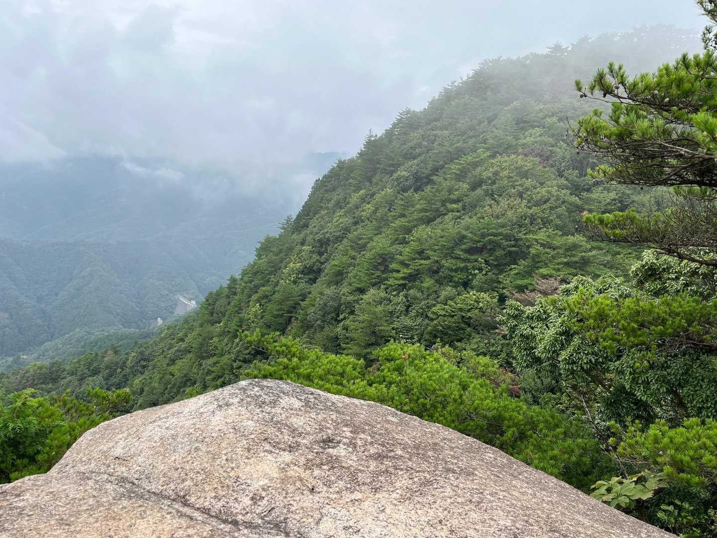 窓ヶ山西峰-仏峠-向山 周回コースの写真