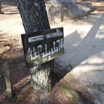 では向かおうカナ　