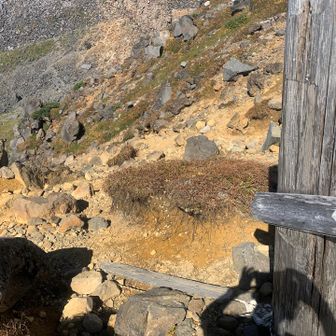 新山へ