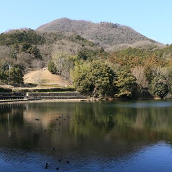 大池と雄岳
浮かんでるのは、キンクロハジロ？