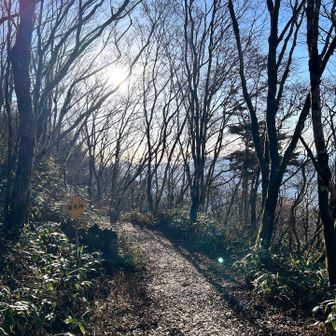 セラピーなロードである