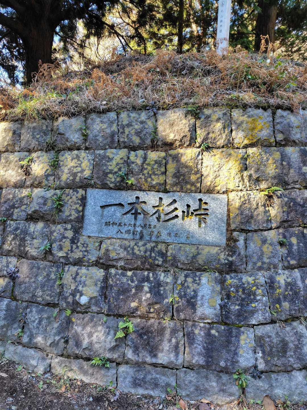 足尾山までピストンで行こうと提案したのですが、即答で却下

ここからの道がすごかった
モトクロスと四駆の遊び場をずっと歩く感じで、ひかれたら命無いなって思いながら歩いてました