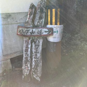 汗で曇った💦
電柱をよく見ると、今や死語となった「ソーシャルディスタンス」😷