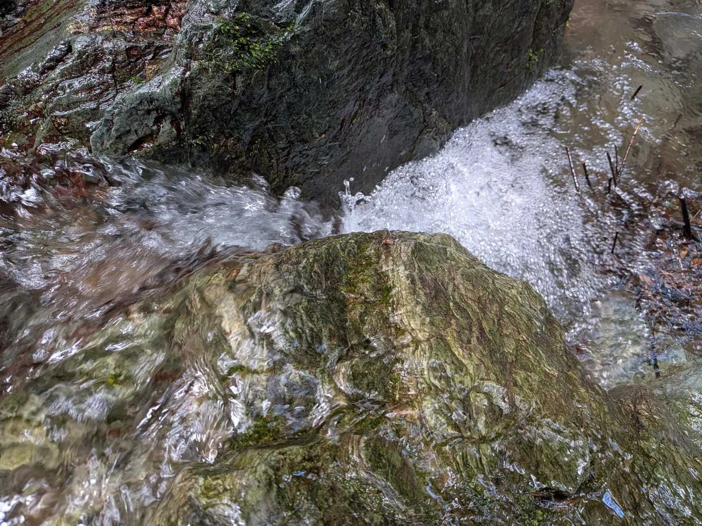 何度か渡渉します。