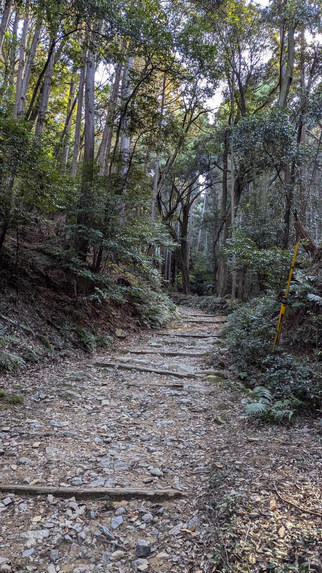 醍醐山 往復コースの写真
