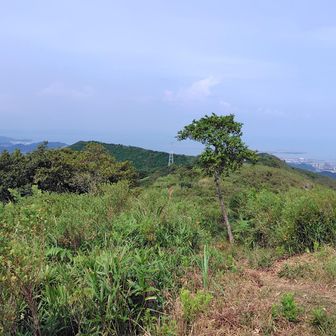 ラスト水晶山🔮を予定してたけど…
等高線見る限りアップダウンは激しくなさそうだけど…辞めた😅
