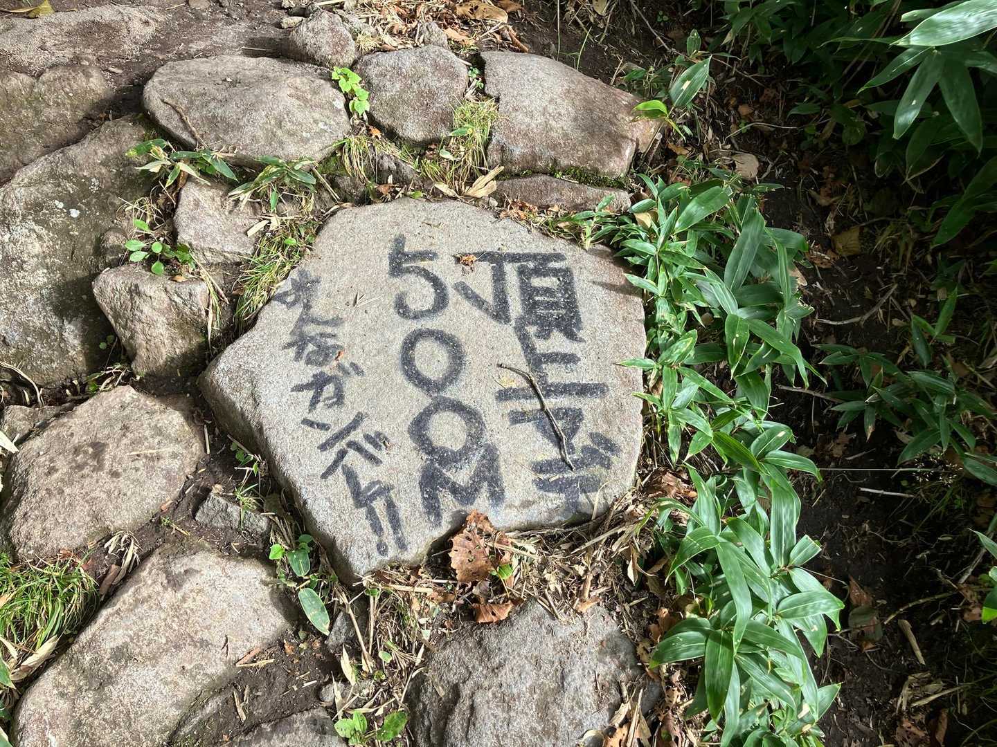 鷲別岳 往復コースの写真