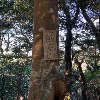 飯盛山頂上。アキレス腱が切れそうな急斜面を登っていきます。コース一番の難所。
他の人の日記を見ると飯盛神社まで行けばピークは取れるみたいなので無理に登らなくてもいいと思います。