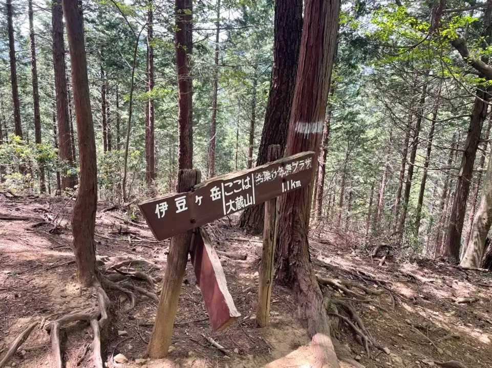大蔵山の写真